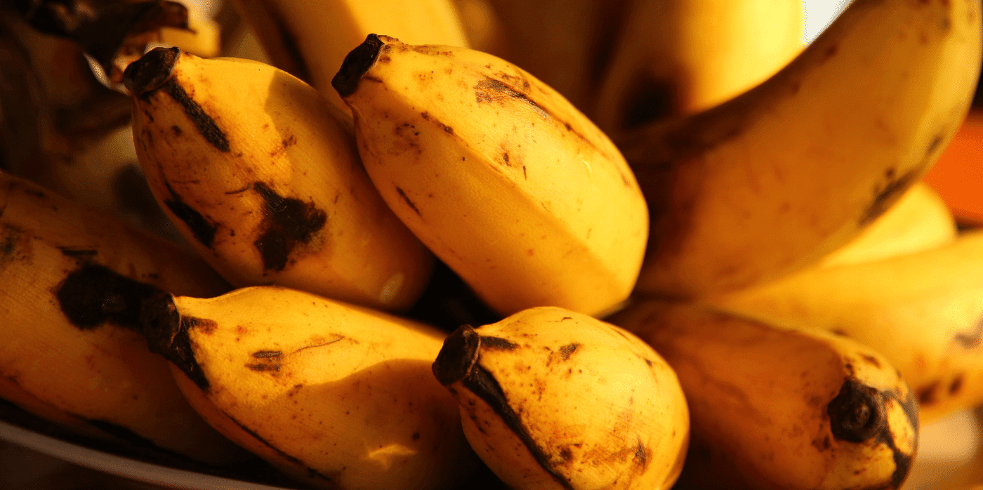 Waste bananas hasten microbe growth for industrial applications 