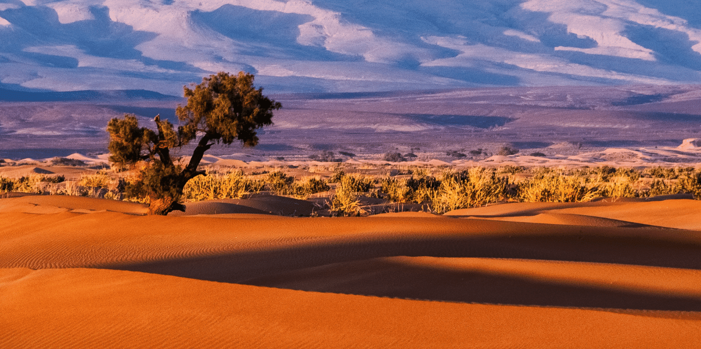 Cultivating desert land for agriculture