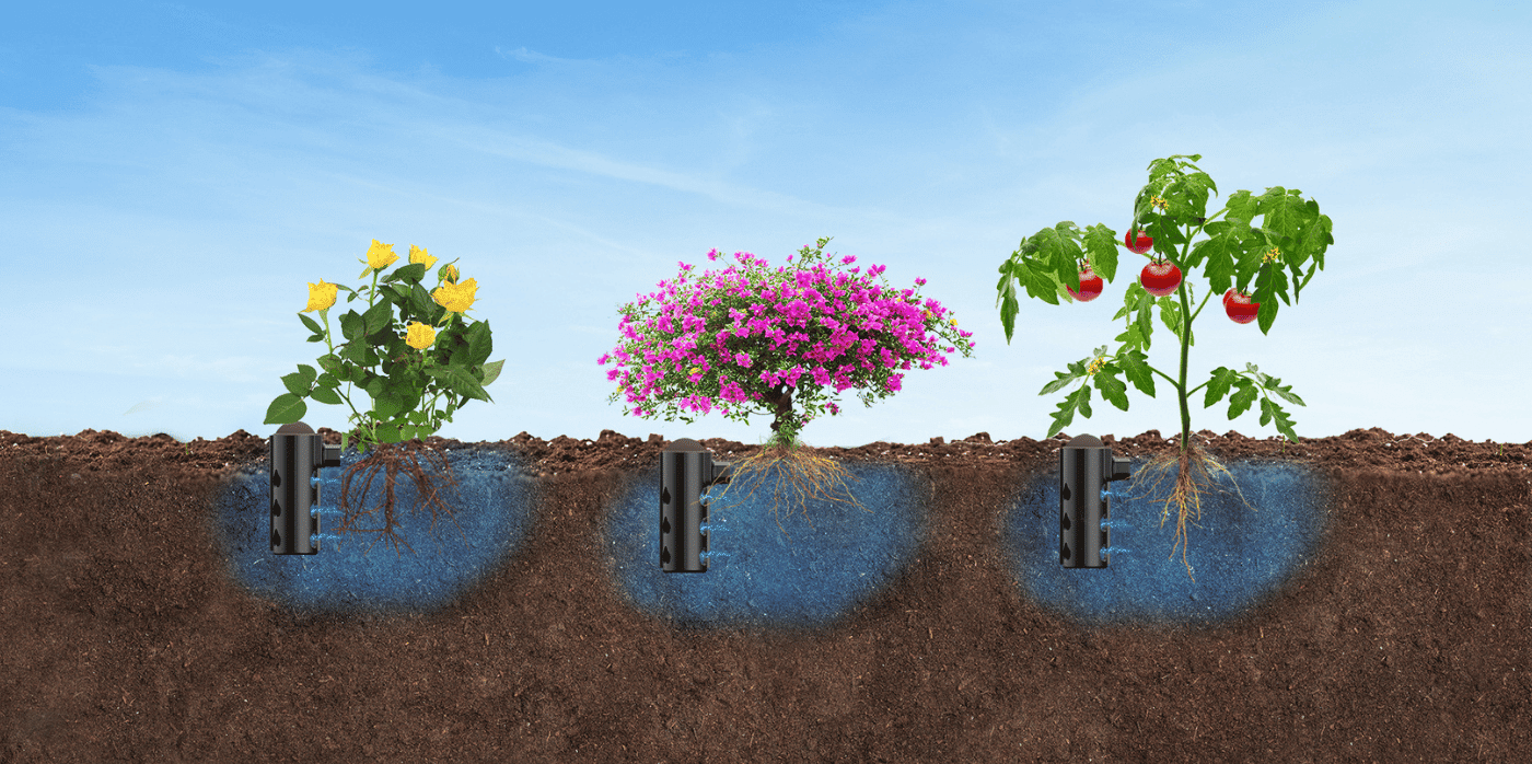 A device waters plants at their roots to save water 