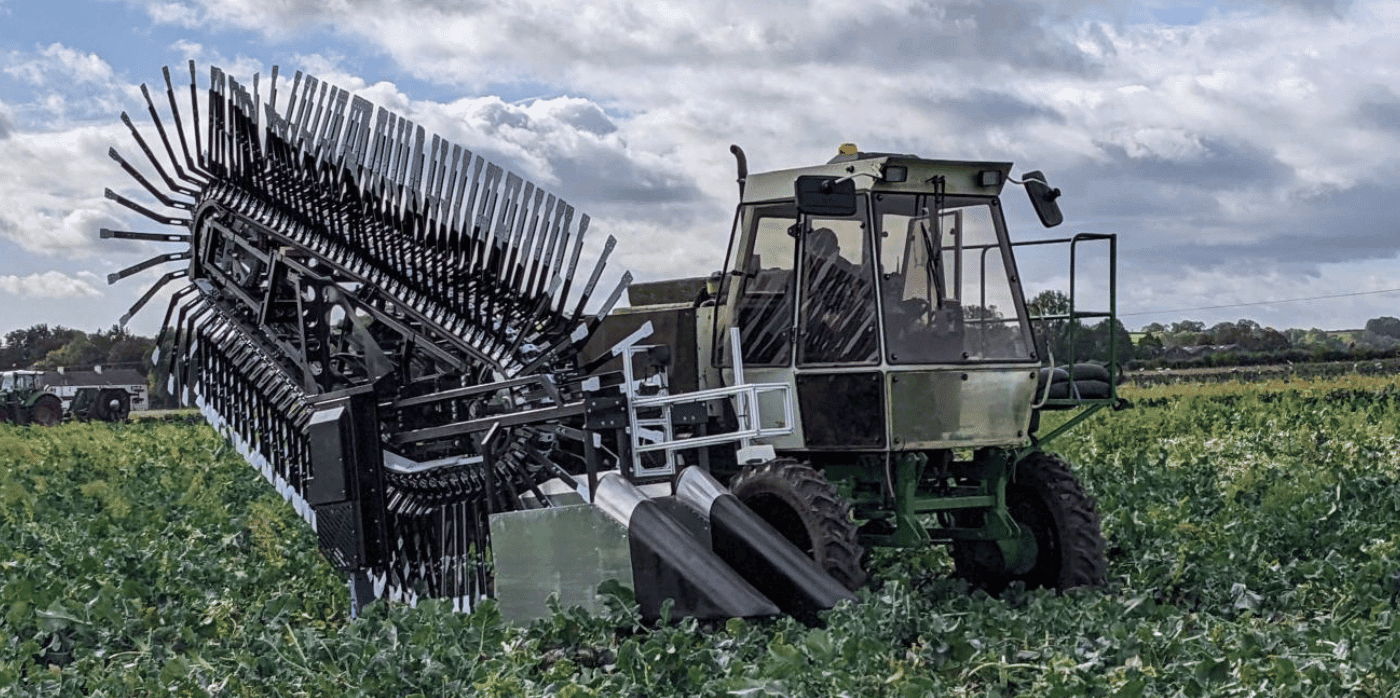 Upcycling broccoli waste into sustainable protein