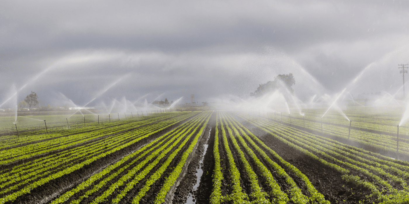 Data optimises agricultural water use 