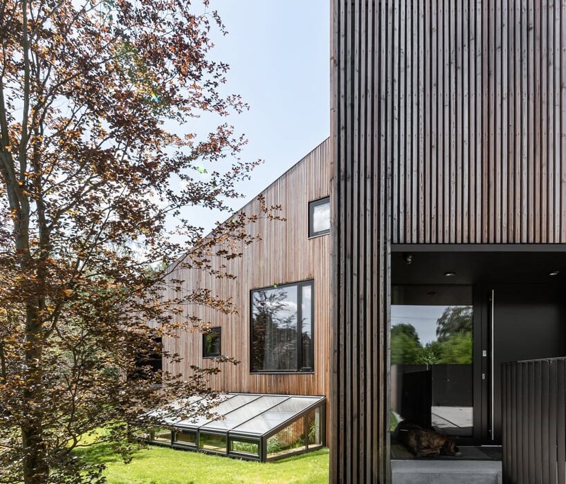 fragmented residence wraps in raw larch slats in poland