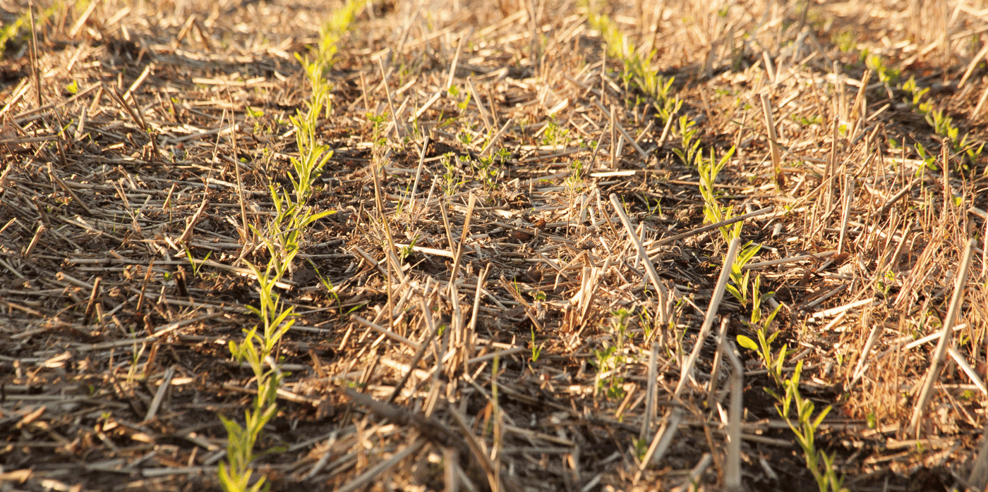 A climate-tech finance platform for the agricultural industry