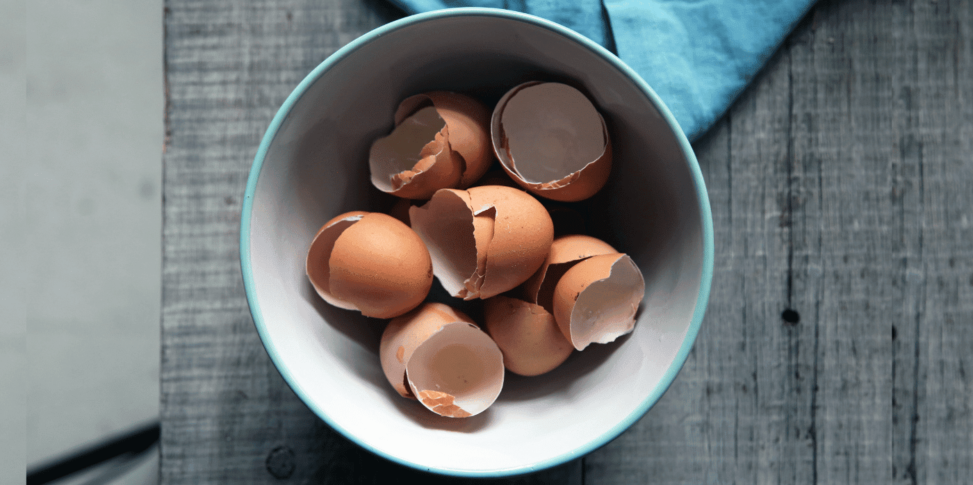 Using eggshells for bone grafts