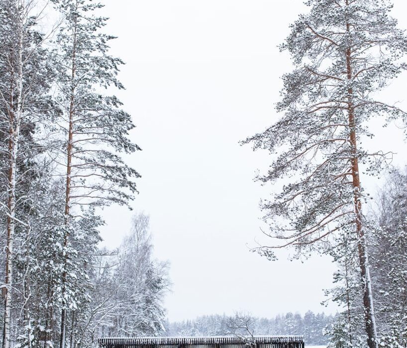 ecological wooden cabin nestles in rural finland’s lakeside setting