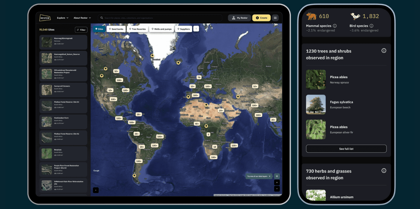 Monitoring ecosystem restoration in high resolution 