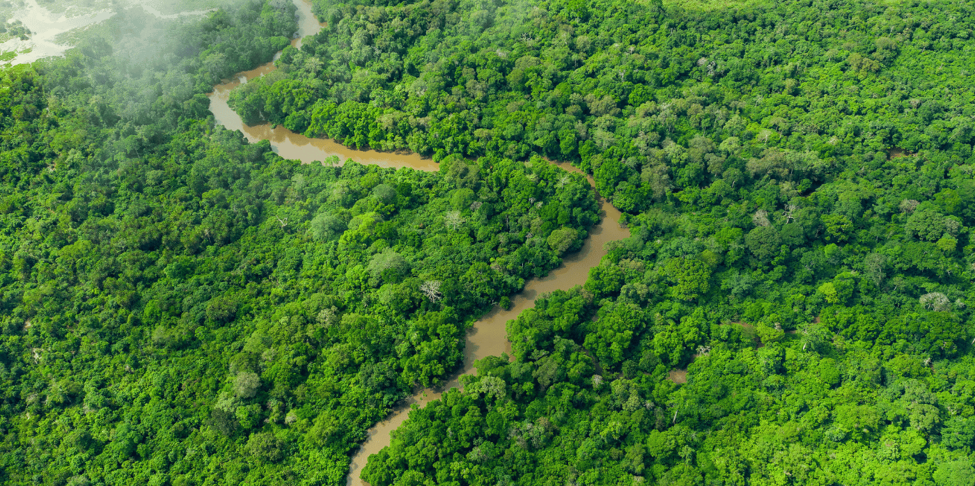 Turning rainforests into tangible ESG assets