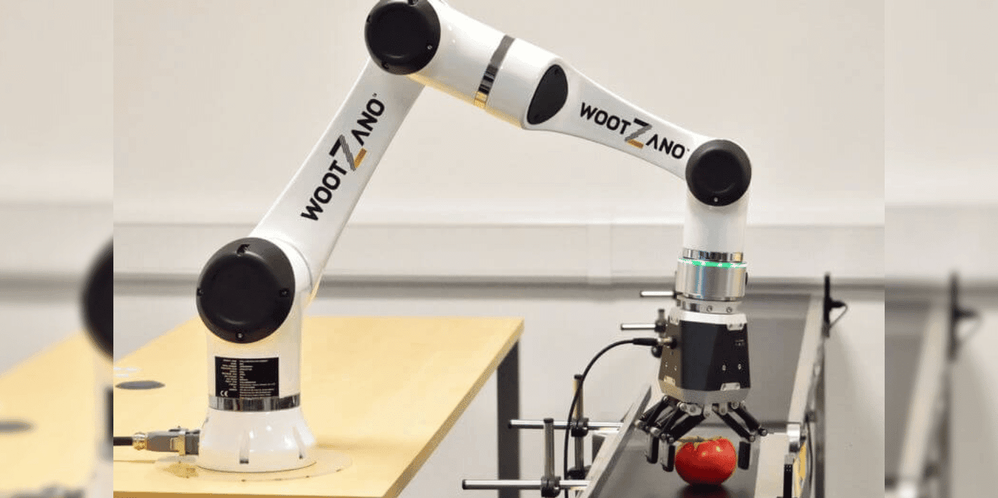 A fresh-produce-packing robot with a human touch 