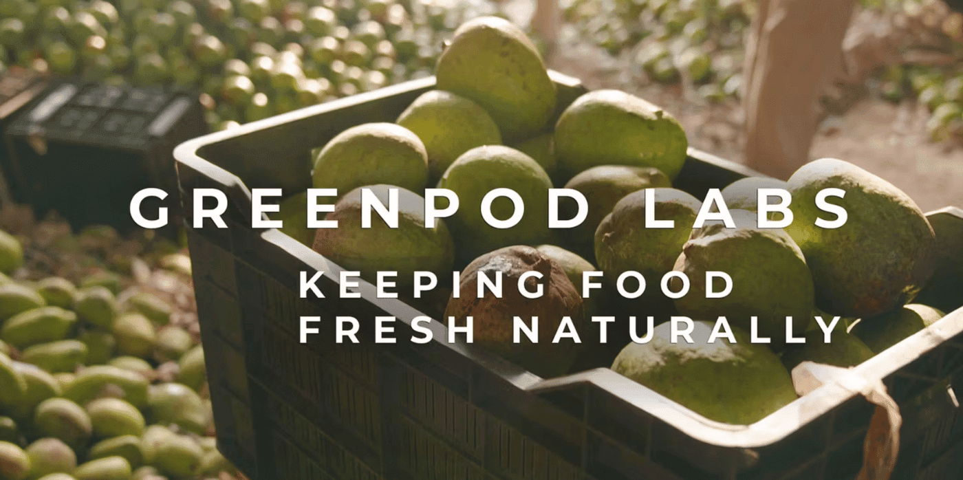 Keeping food fresh naturally – Springwise