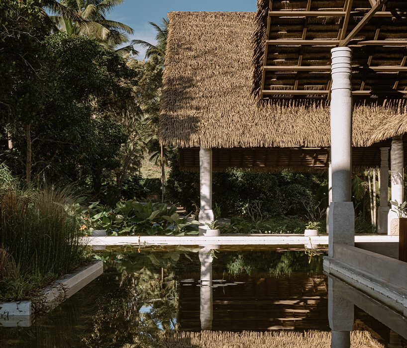 maayaa retreat in south india reflects tropical modern aesthetic