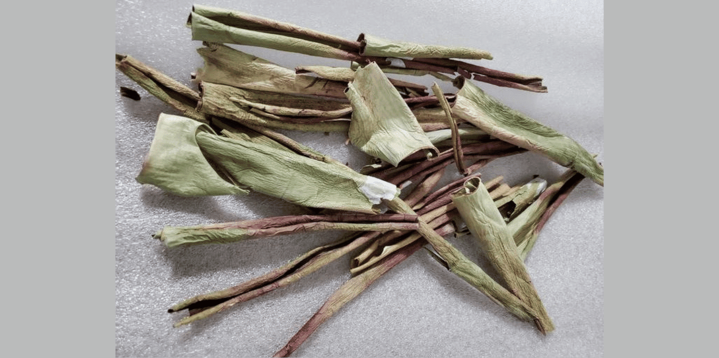 Insecticide made from waste aloe peels