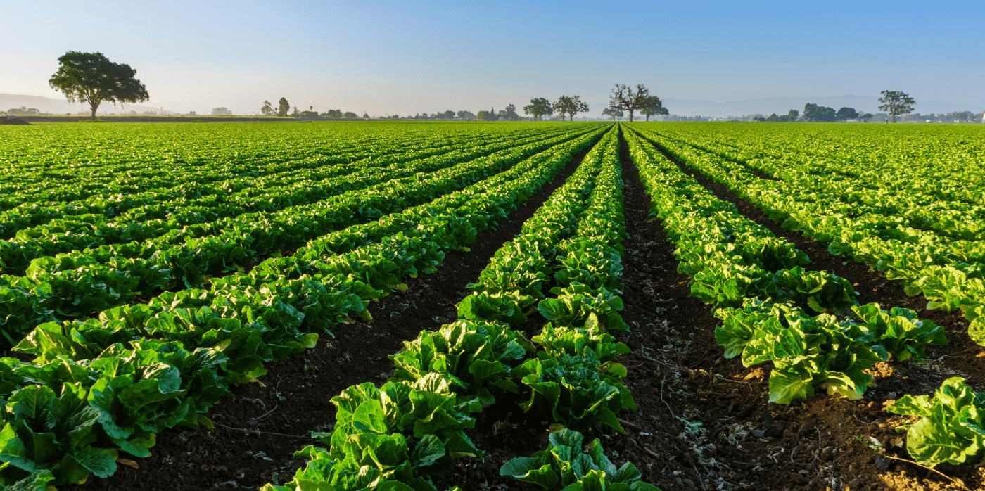 Converting air pollution into plant fertiliser - Zarkon Group Real ...