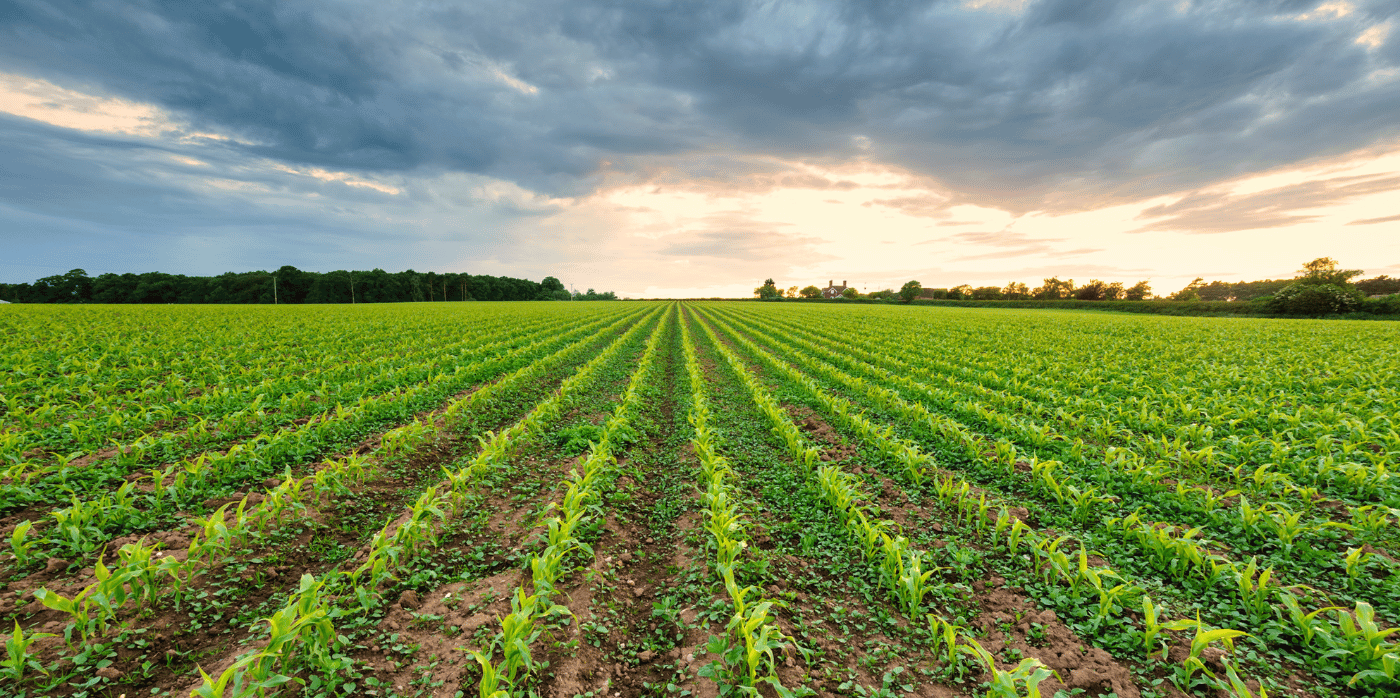 Crop care products based on sustainable materials