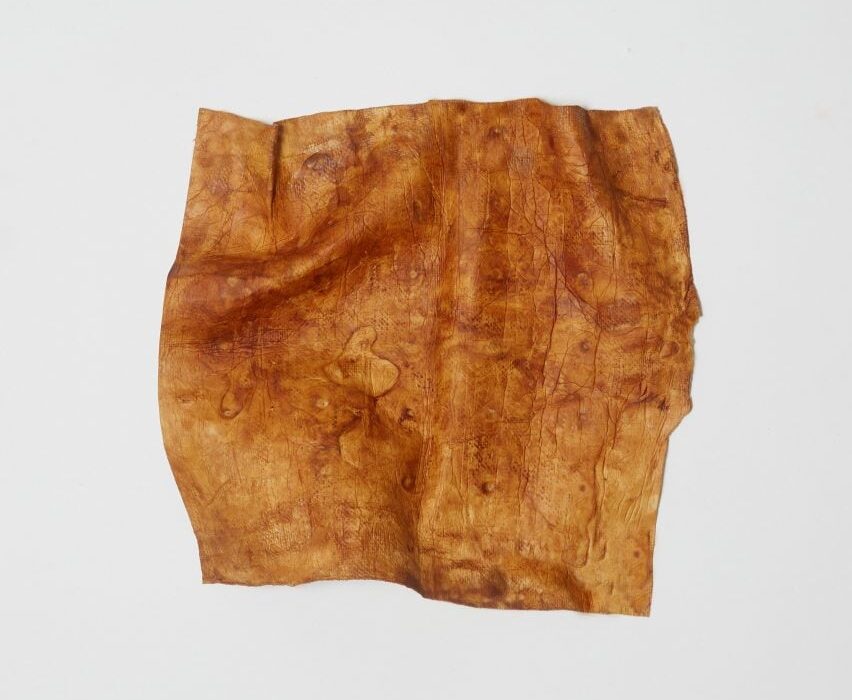 Food-waste dyes bring colour to mycelium leather by Sages and Osmose