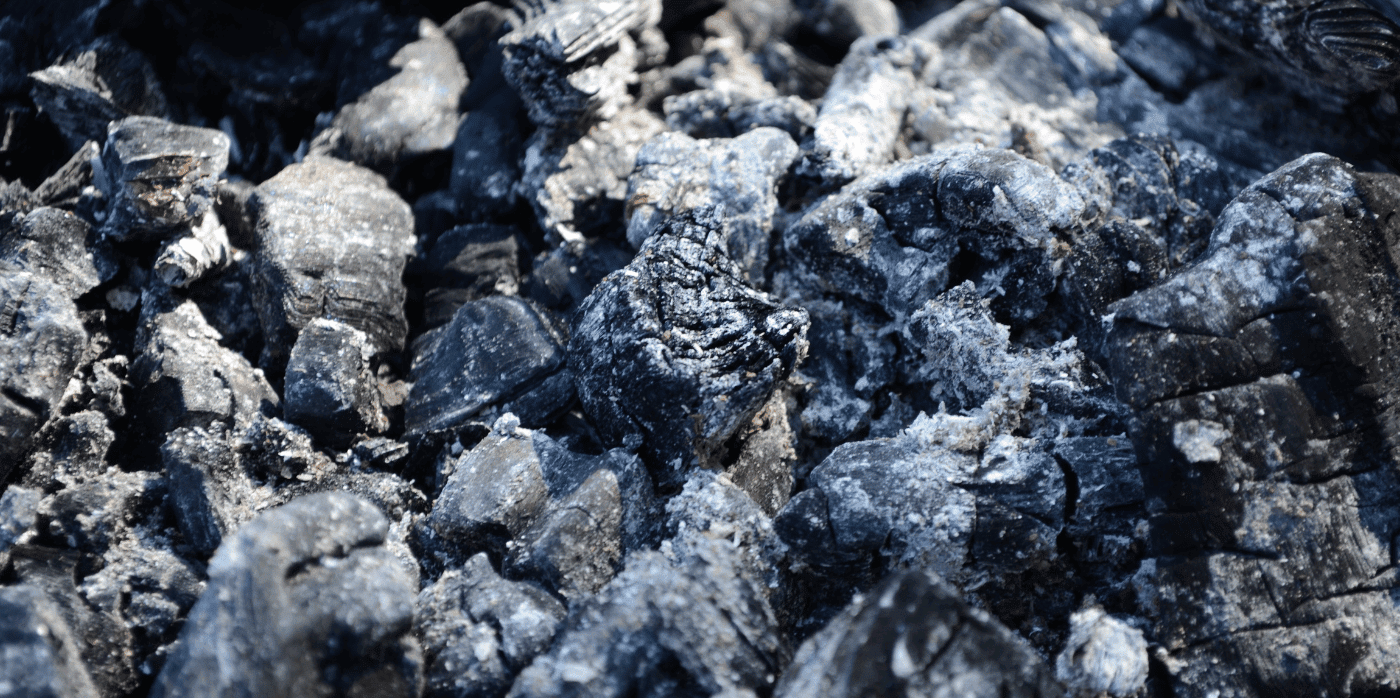 Can coal be converted into sustainable protein?