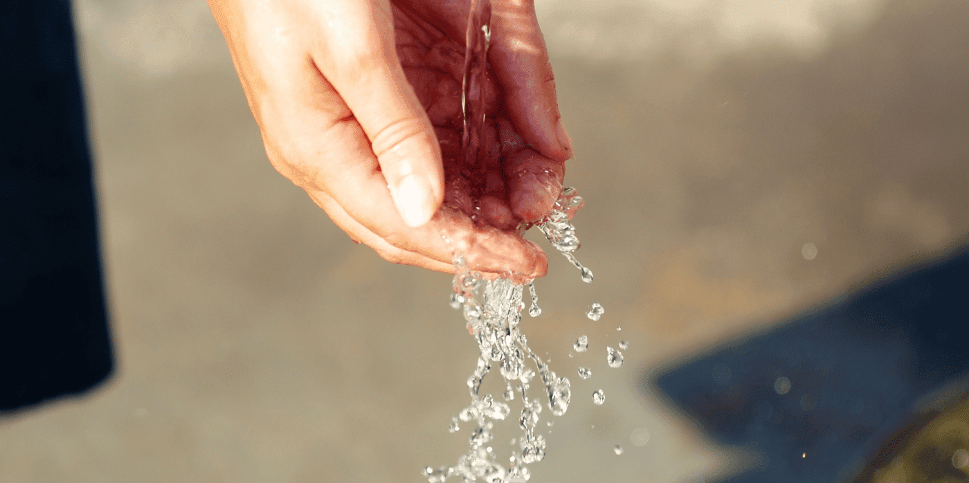 Filter cartridges purify the water from most taps